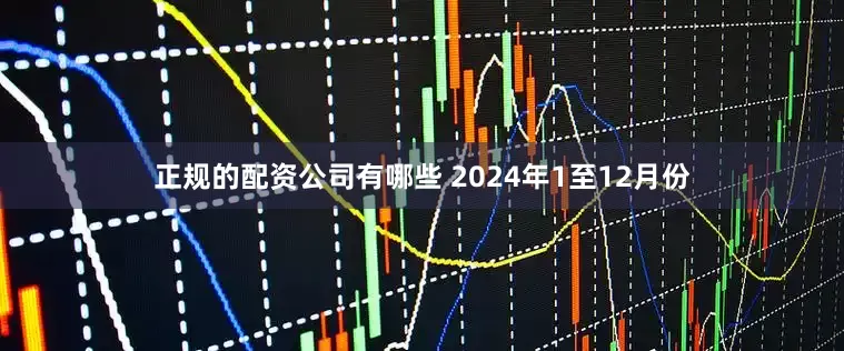 正规的配资公司有哪些 　　2024年1至12月份